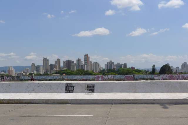 Urban Jungle of Sao Paulo