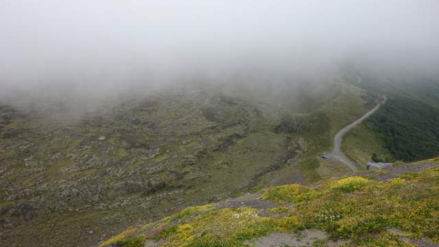 Hiking Volcanoes in Puyehue National Park