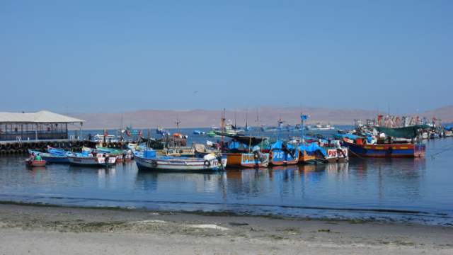 Paracas​