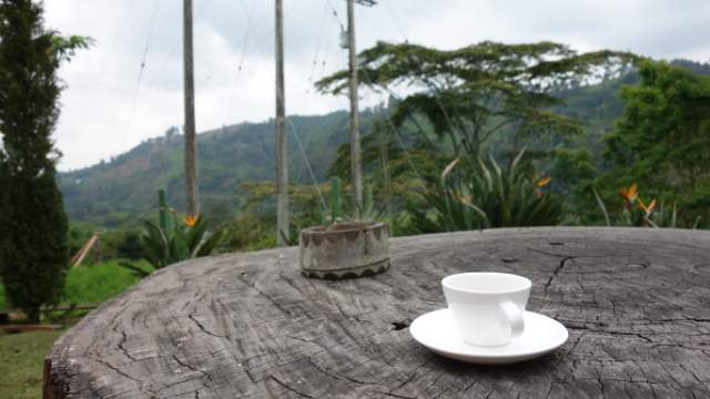 Drinking coffee in Colombia​